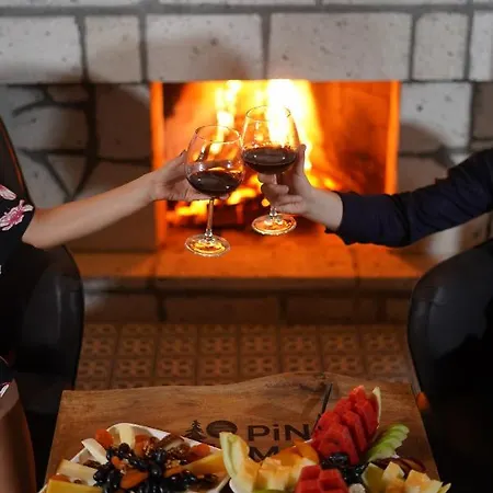 Pino Mar Luxury Erdek