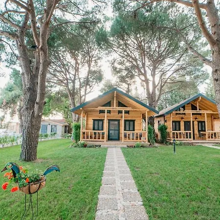 Pino Mar Luxury 4* Erdek