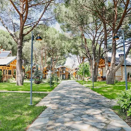 Pino Mar Luxury Отель типа 
